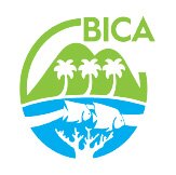 logotipo BICA