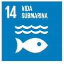 ODS Vida submarina